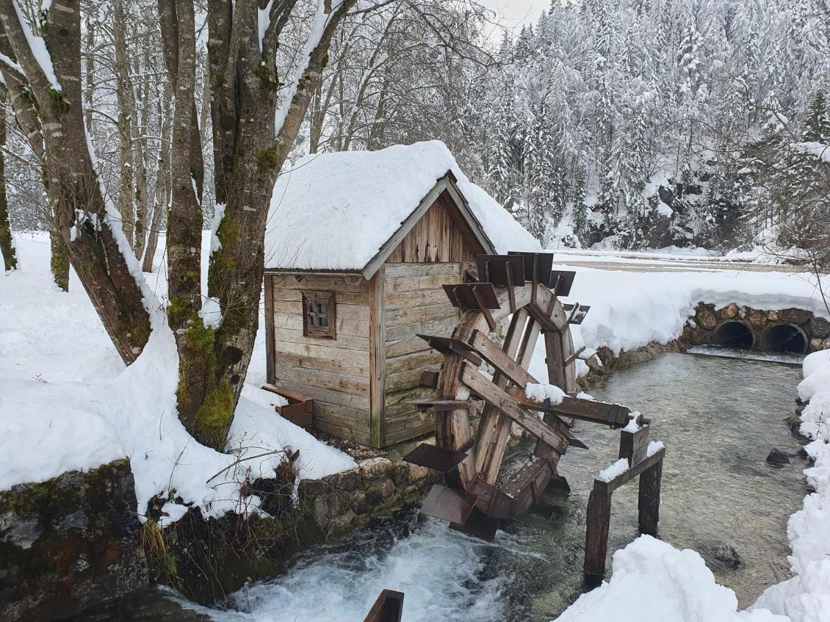Apartma Lenka Kranjska Gora Exteriér fotografie