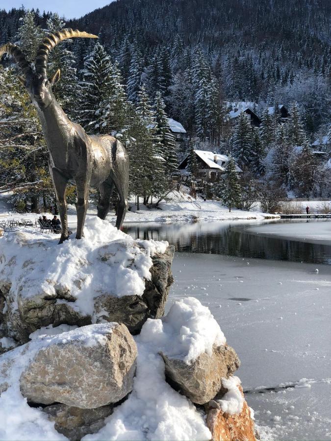 Apartma Lenka Kranjska Gora Exteriér fotografie